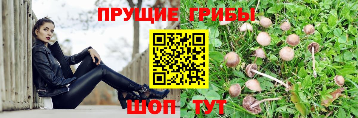 Галлюциногенные грибы Psilocybe  Вход с VPN  Псилоцибиновые грибы MAGIC MUSHROOMS  Шадринск 